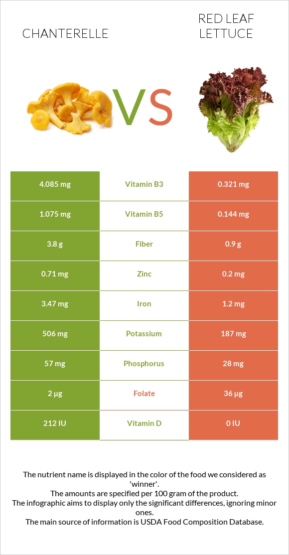 Chanterelle vs Red leaf lettuce infographic