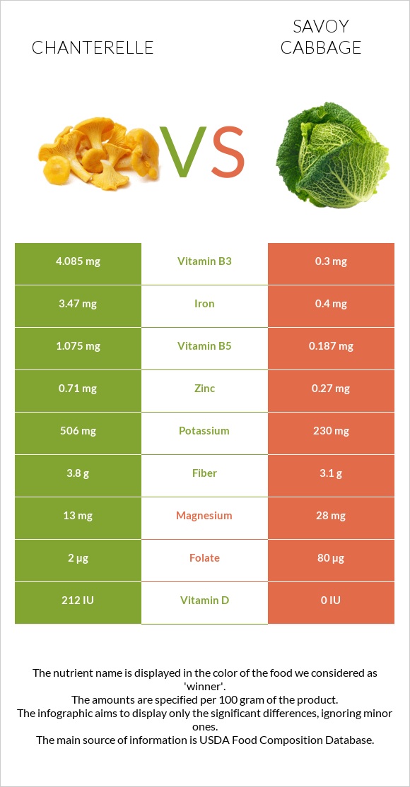 Chanterelle vs Savoy cabbage infographic