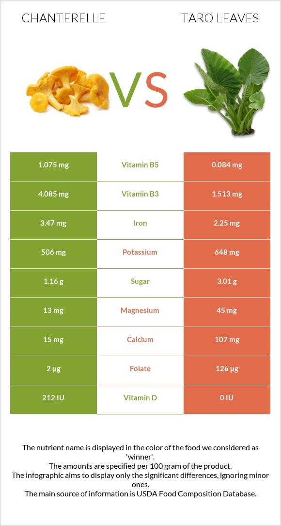 Chanterelle vs Taro leaves infographic