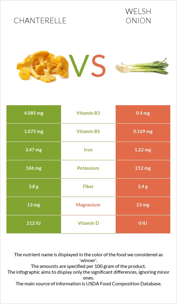 Chanterelle vs Welsh onion infographic
