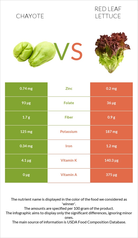 Chayote vs Red leaf lettuce infographic