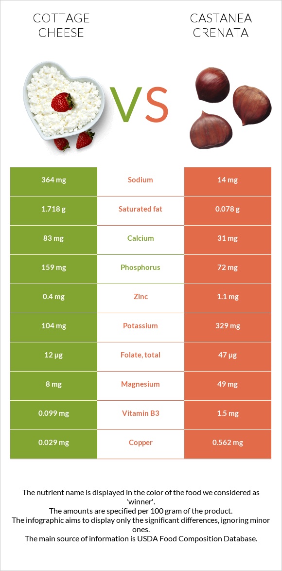 Cottage cheese vs Castanea crenata infographic