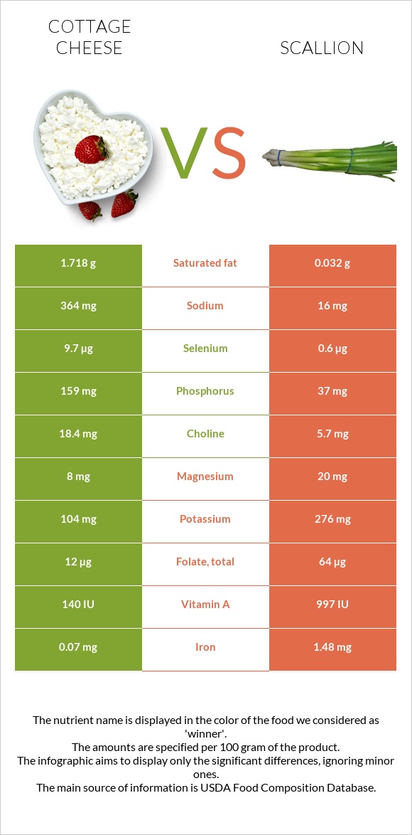 Cottage cheese vs Scallion infographic