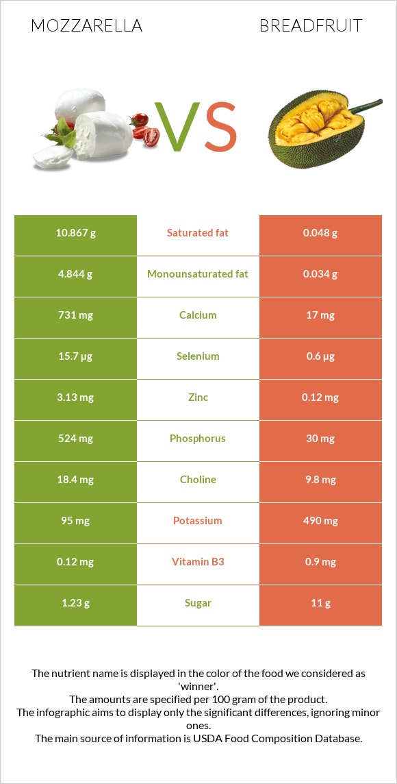 Մոցարելլա vs Հացի ծառ infographic