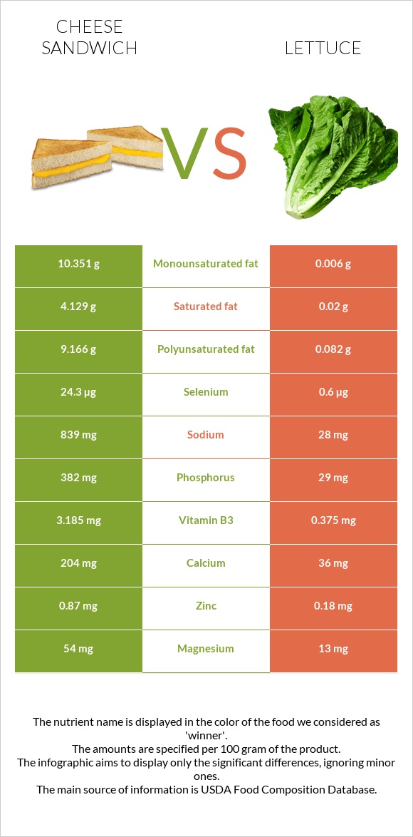 Cheese sandwich vs Lettuce infographic