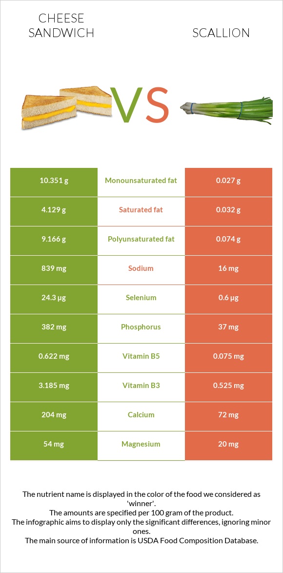 Cheese sandwich vs Scallion infographic