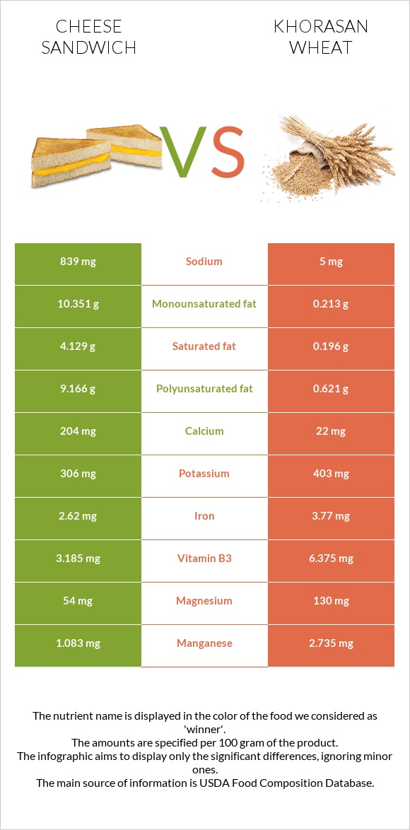 Cheese sandwich vs Khorasan wheat infographic