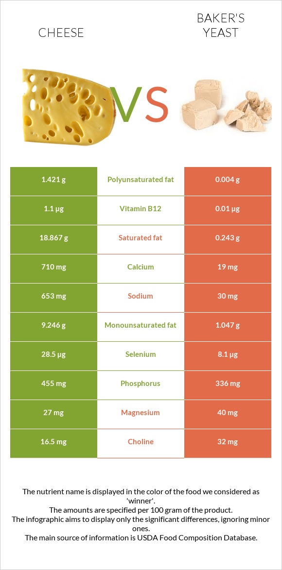 Պանիր vs Բեյքերի խմորիչ infographic