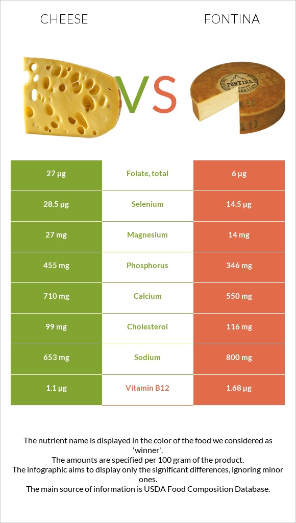 Cheddar Cheese vs Fontina infographic