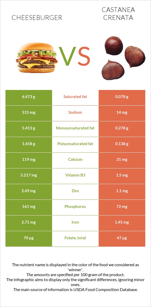 Cheeseburger vs Castanea crenata infographic