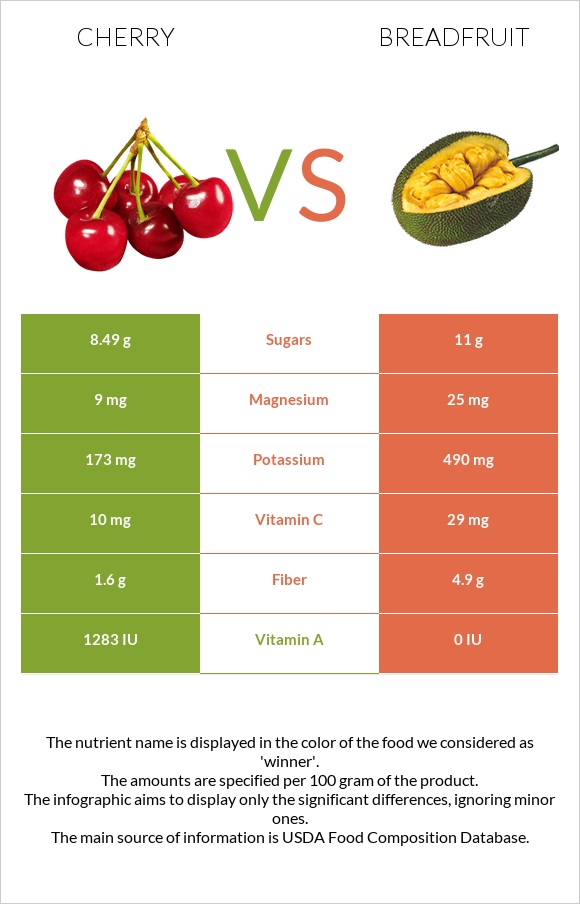 Cherry vs Breadfruit infographic