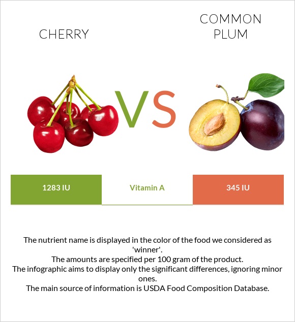 Cherry vs Common plum infographic
