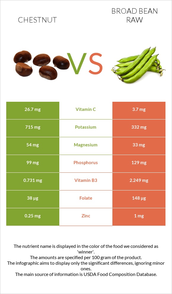 Chestnut vs Broad bean raw infographic