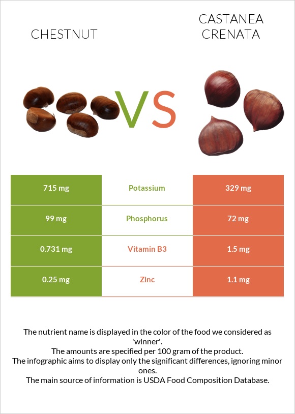Chestnut vs Castanea crenata infographic