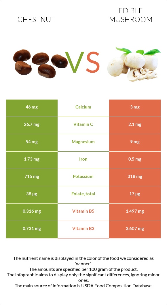 Chestnut vs Edible mushroom infographic