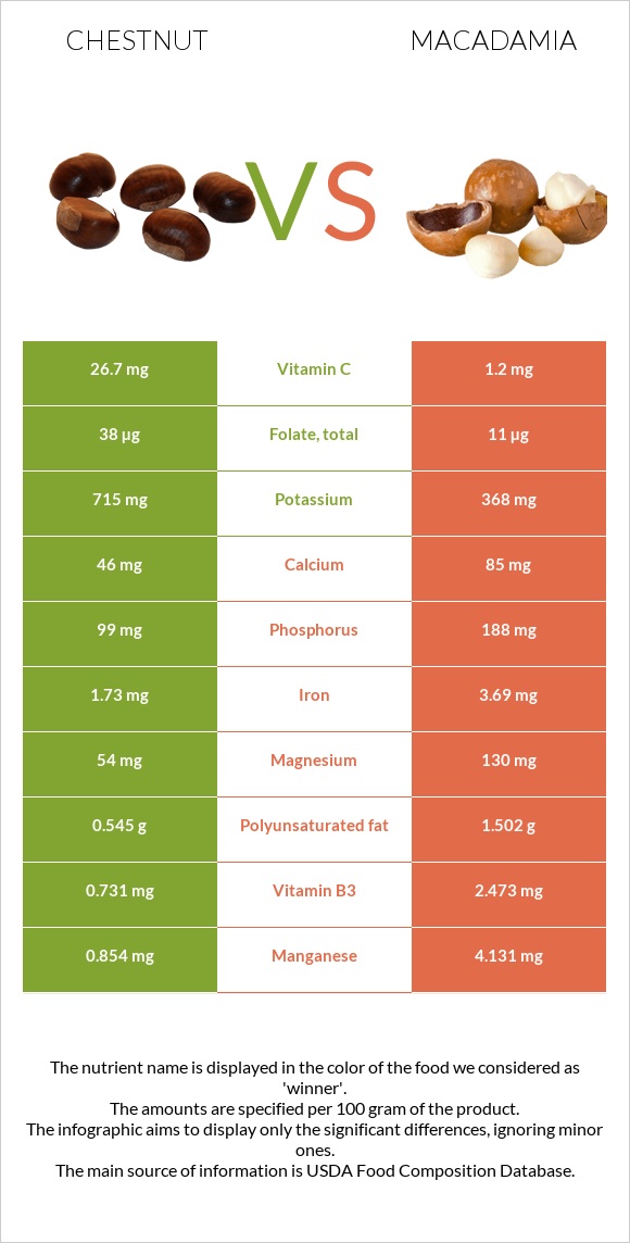 Chestnut vs Macadamia infographic