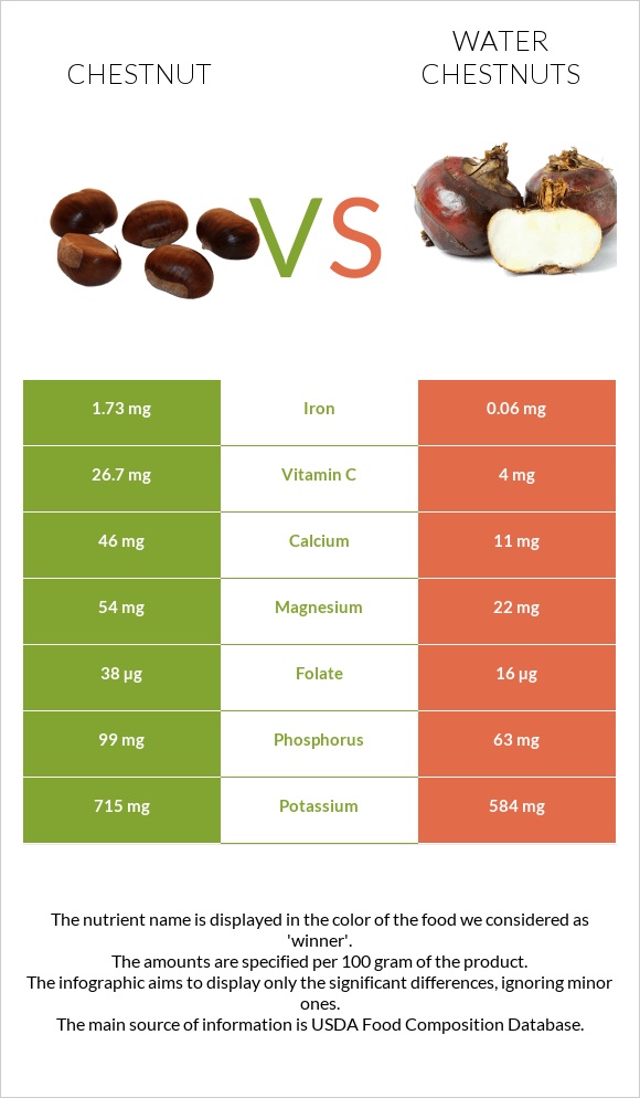 Chestnut vs Water chestnuts infographic