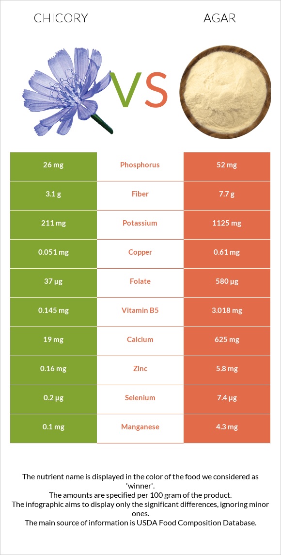 Chicory vs Agar infographic