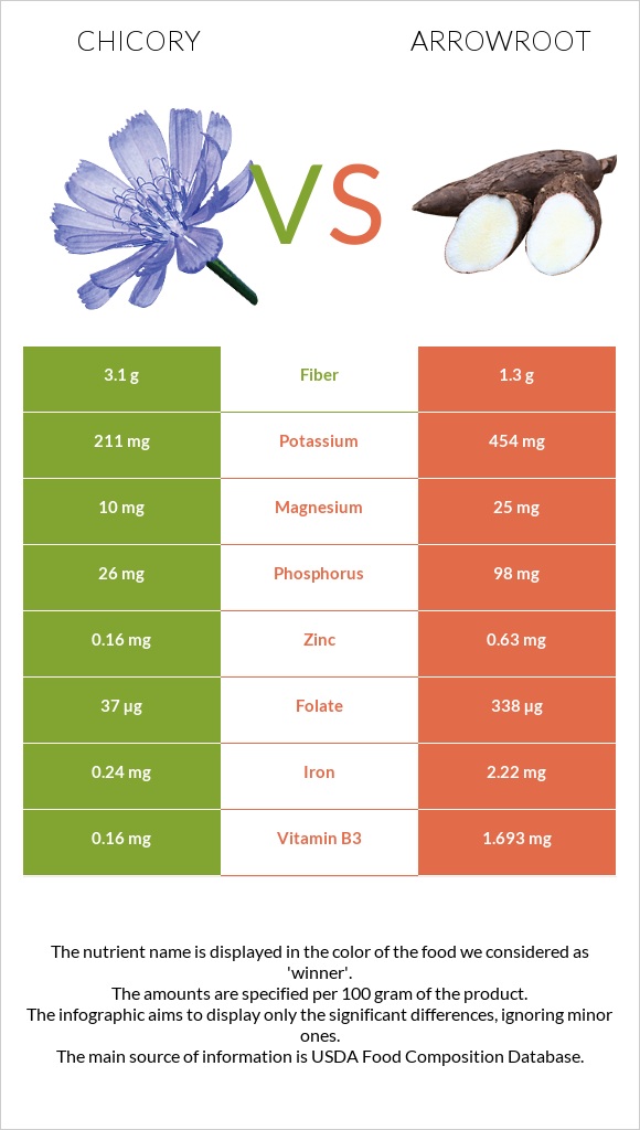 Chicory vs Arrowroot infographic