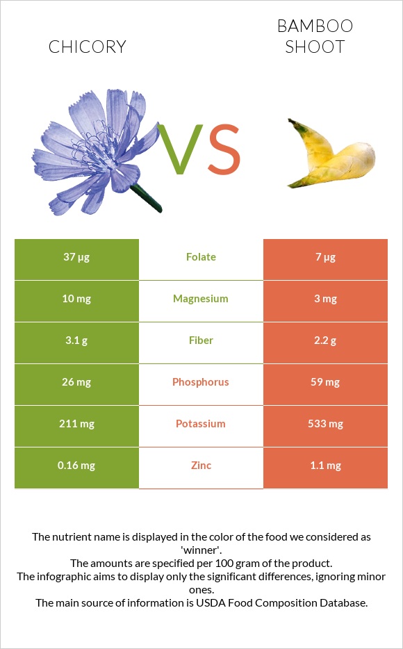 Chicory vs Bamboo shoot infographic
