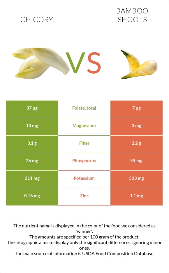 Chicory vs Bamboo shoot infographic