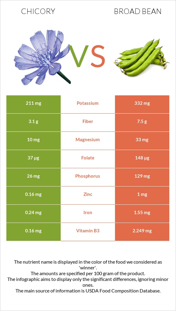Chicory vs Broad bean infographic