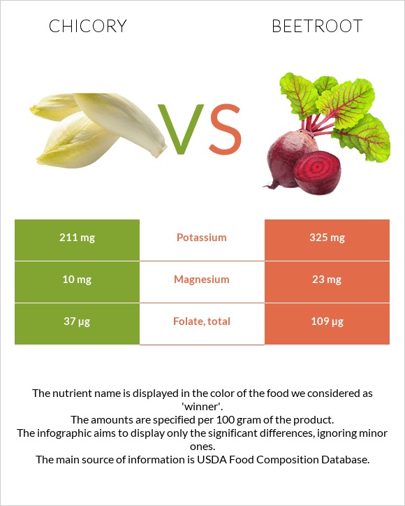 Chicory vs Beetroot infographic