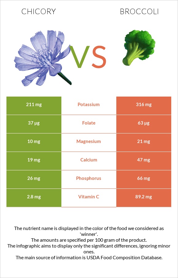 Chicory vs Broccoli infographic