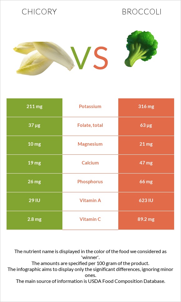 Chicory vs Broccoli infographic