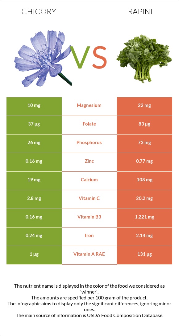 Chicory vs Rapini infographic