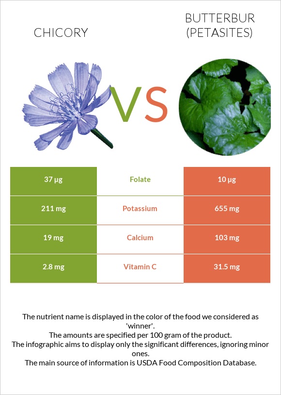 Chicory vs Butterbur infographic