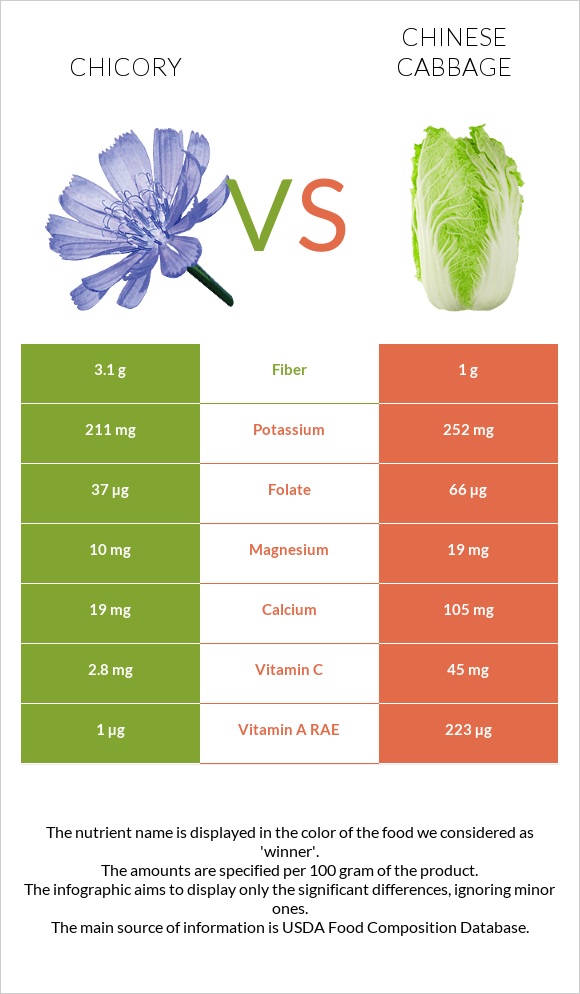 Chicory vs Chinese cabbage infographic
