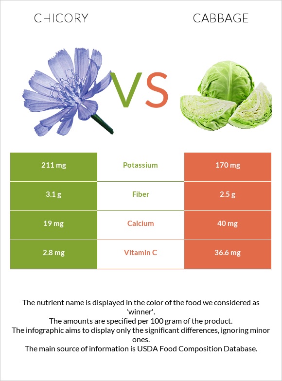 Chicory vs Cabbage infographic