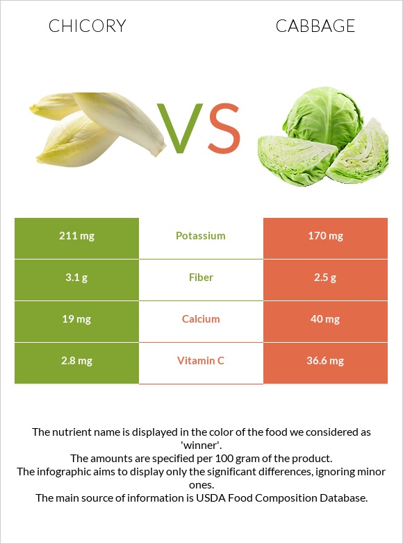 Chicory vs Cabbage infographic