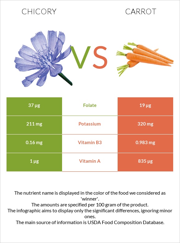 Chicory vs Carrot infographic