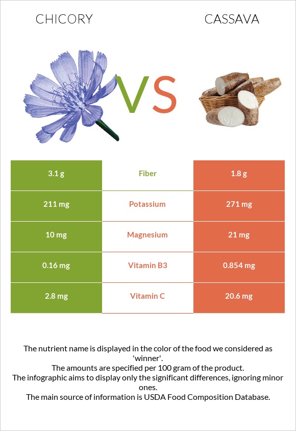 Chicory vs Cassava infographic