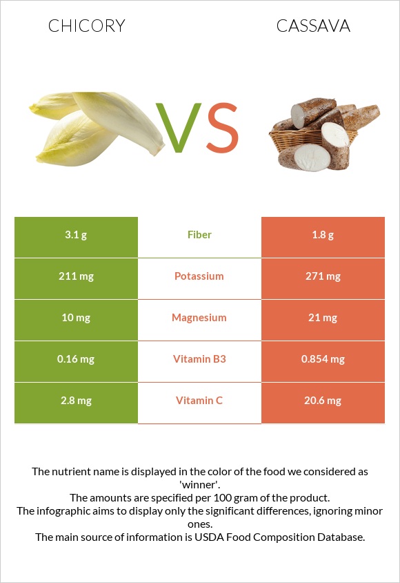 Chicory vs Cassava infographic