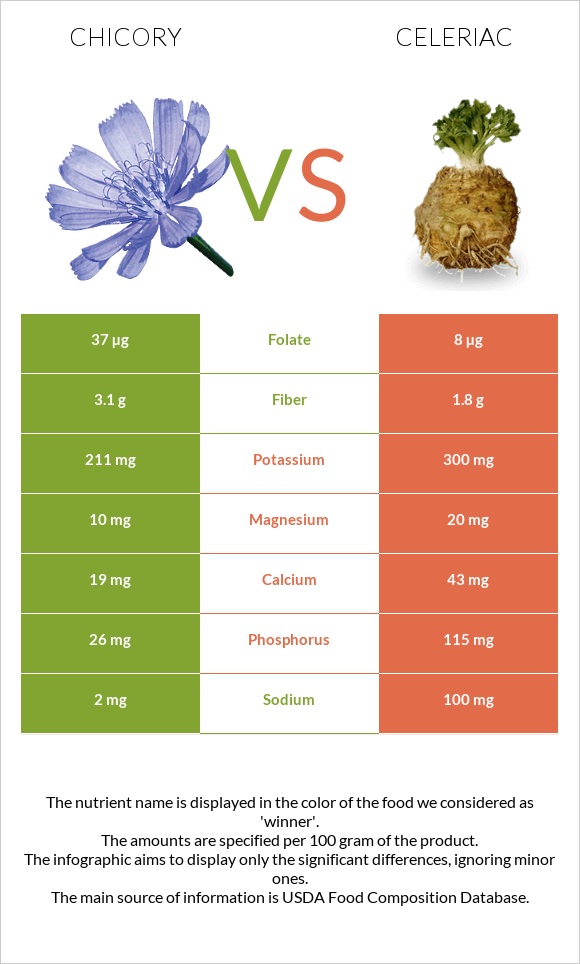 Chicory vs Celeriac infographic