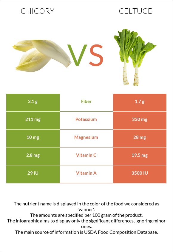 Chicory vs Celtuce infographic