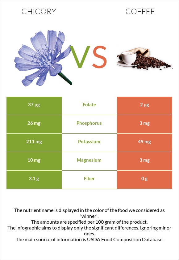 Chicory vs Coffee infographic
