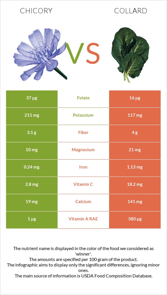 Chicory vs Collard Greens infographic