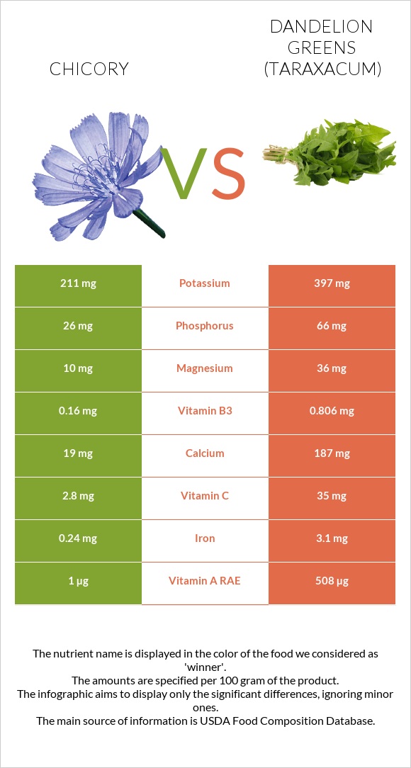 Chicory vs Dandelion greens infographic