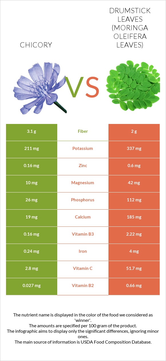 Chicory vs Drumstick leaves infographic