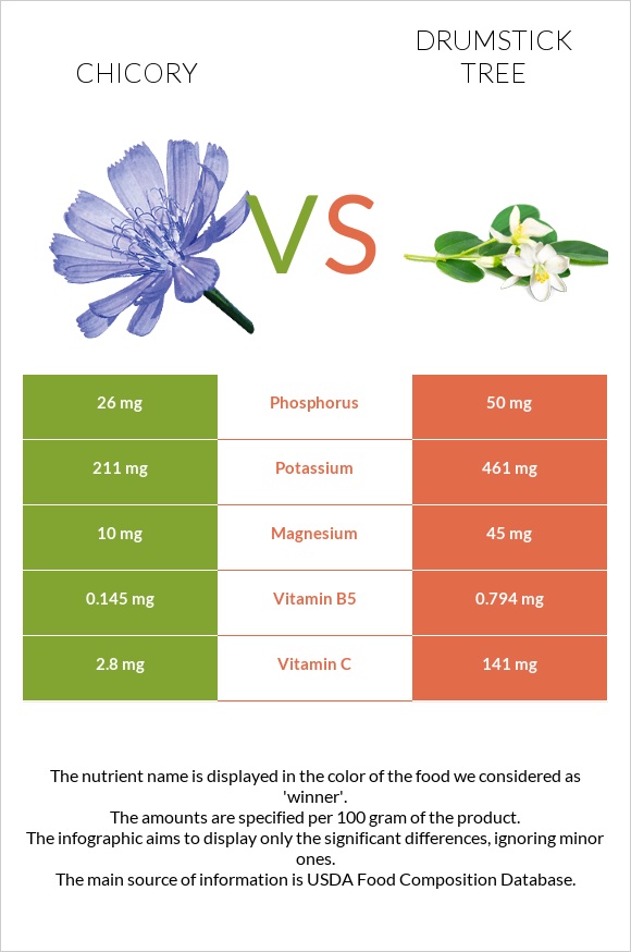 Chicory vs Drumstick tree infographic