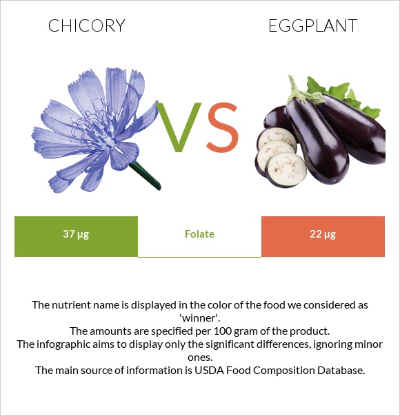 Chicory vs Eggplant infographic