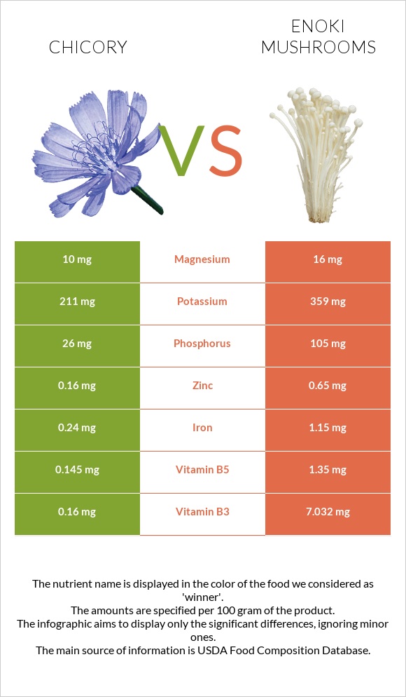 Chicory vs Enoki mushrooms infographic