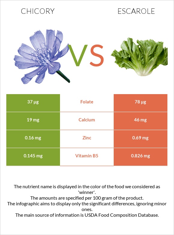 Chicory vs Escarole infographic