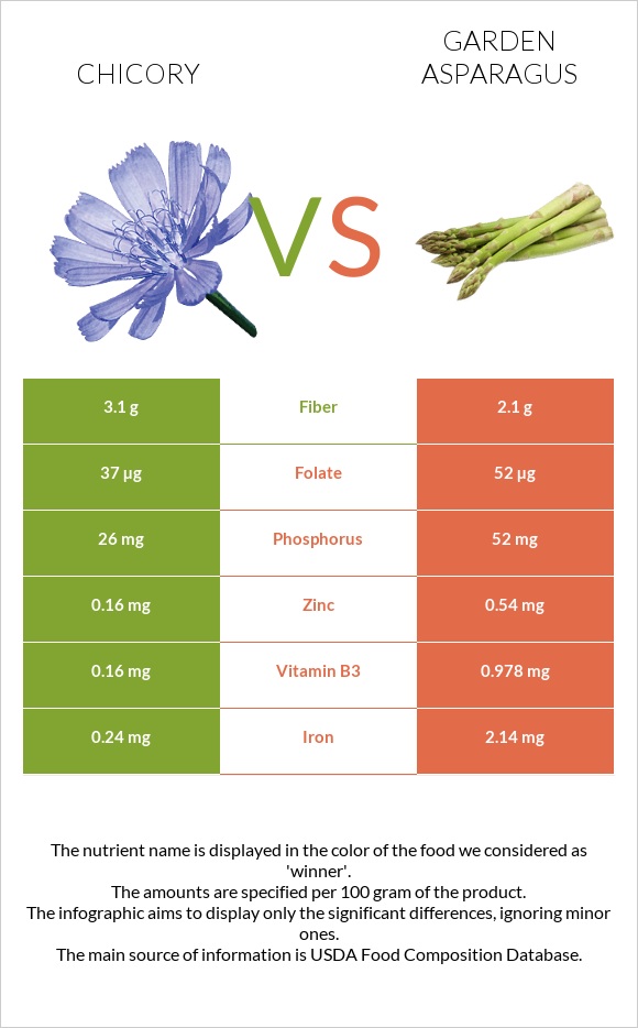 Chicory vs Garden asparagus infographic
