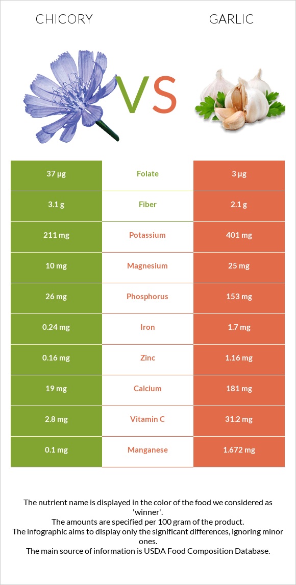 Chicory vs Garlic infographic