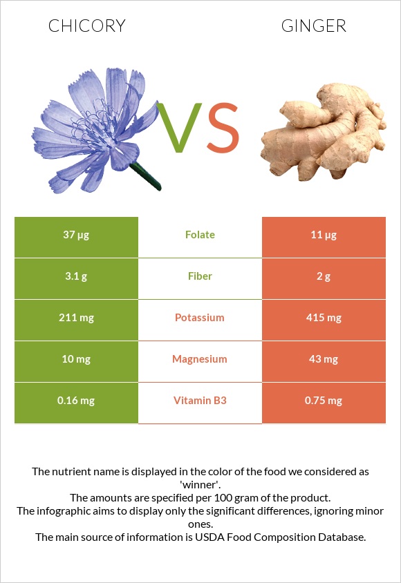 Chicory vs Ginger infographic